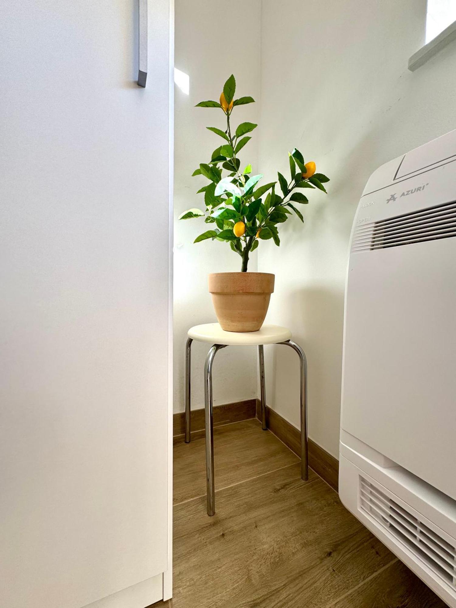 Trsat-Kampus Apartments Fiume Kültér fotó